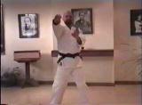 Uechi Ryu Body Mechanics