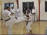 Dan Kumite