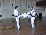Kyu Kumite