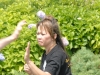 2900488730101491237ehombe_ph