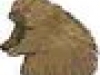 2307841650101491237affkfa_ph
