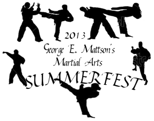 2013 camp t-sirt